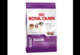 Сухой Корм Royal Canin (Роял Канин) Для Собак Гигантских Пород GIANT Adult 4кг