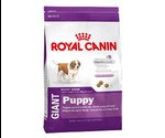 Сухой Корм Royal Canin (Роял Канин) Для Щенков Гигантских Пород Size Health Nutrition GIANT Puppy 15кг