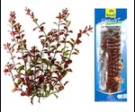 Растение Для Аквариума Tetra (Тетра) Людвигия Красная Пластиковое DecoArt Plantastics Red Ludwigia 23см