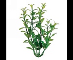 Растение Тетра Гигрофила Хl