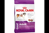 Сухой Корм Royal Canin (Роял Канин) Для Собак Гигантских Пород GIANT Adult 15кг