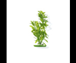 Растение Хаген Рр543 Пласт.Зеленое Гигрофила 12,5см