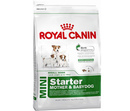 Сухой Корм Royal Canin (Роял Канин) Для Щенков и Беременных Собак Мелких Пород Size Health Nutrition Mini Starter Mother & Babydog 1кг