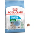 Сухой Корм Royal Canin (Роял Канин) Для Щенков и Беременных Собак Мелких Пород Size Health Nutrition Mini Starter Mother & Babydog 3кг