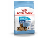 Сухой Корм Royal Canin (Роял Канин) Size Health Nutrition MAXI Starter Для Щенков и Беременных Собак Крупных Пород 4кг