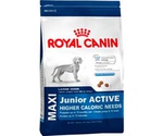 Сухой Корм Royal Canin (Роял Канин) Size Health Nutrition MAXI Junior Active Для Активных Щенков Крупных Пород 4кг