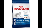Сухой Корм Royal Canin (Роял Канин) Size Health Nutrition MAXI Junior Active Для Активных Щенков Крупных Пород 4кг