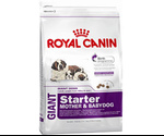Сухой Корм Royal Canin (Роял Канин) Size Health Nutrition Giant Starter Для Щенков и Беременных Собак Гигантских Пород 4КГ