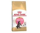 Сухой Корм Royal Canin (Роял Канин) Для Котят Породы Мейн-Кун Feline Breed Nutrition Kitten Maine Coon 36 400г