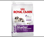 Сухой Корм Royal Canin (Роял Канин) Size Health Nutrition Giant Starter Для Щенков и Беременных Собак Гигантских Пород 15кг