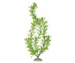 Растение Для Аквариума Пластик 19см Зеленое Cqs1901-1935