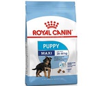 Сухой Корм Royal Canin (Роял Канин) Для Щенков Крупных Пород Size Health Nutrition MAXI Puppy 4кг