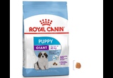 Сухой Корм Royal Canin (Роял Канин) Для Щенков Гигантских Пород Size Health Nutrition GIANT Puppy  3,5кг
