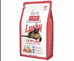 Гипоаллергенный Сухой Корм Brit (Брит) Care Cat Lucry Vital Adult Для Кошек Курица и Рис 400г 
