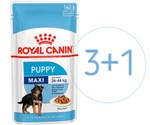 Влажный Корм Royal Canin (Роял Канин) Для Щенков Крупных Пород MAXI Puppy 140г 3+1 АКЦИЯ