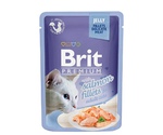 Влажный Корм Brit (Брит) Для Кошек Лосось в Желе Premium Adult Cats Salmon Fillets Jelly 85г