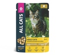 Влажный Корм All Cats (Олл Кэтс) Для Кошек Тефтельки Курица в Соусе 85г (1*28)