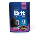 Влажный Корм Brit (Брит) Для Кошек Цыпленок и Индейка в Соусе Premium Cat Chicken & Turkey 85г (1*24) 5048823