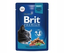 Влажный Корм Brit (Брит) Для Кошек Цыпленок и Перепелка в Соусе Premium 85г 5048915