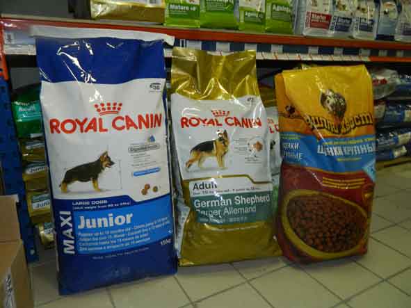 Зоотрейд, Royal Canin и Вилли Хвост.